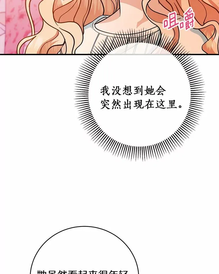 12.护卫骑士 第96页