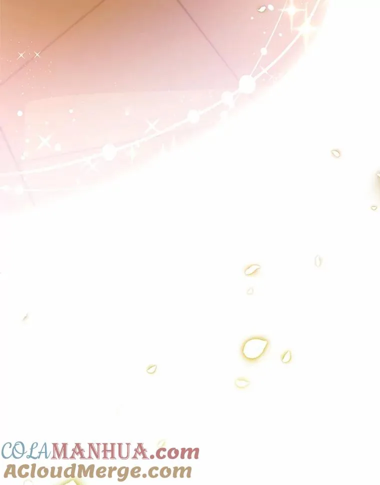 12.护卫骑士 第137页