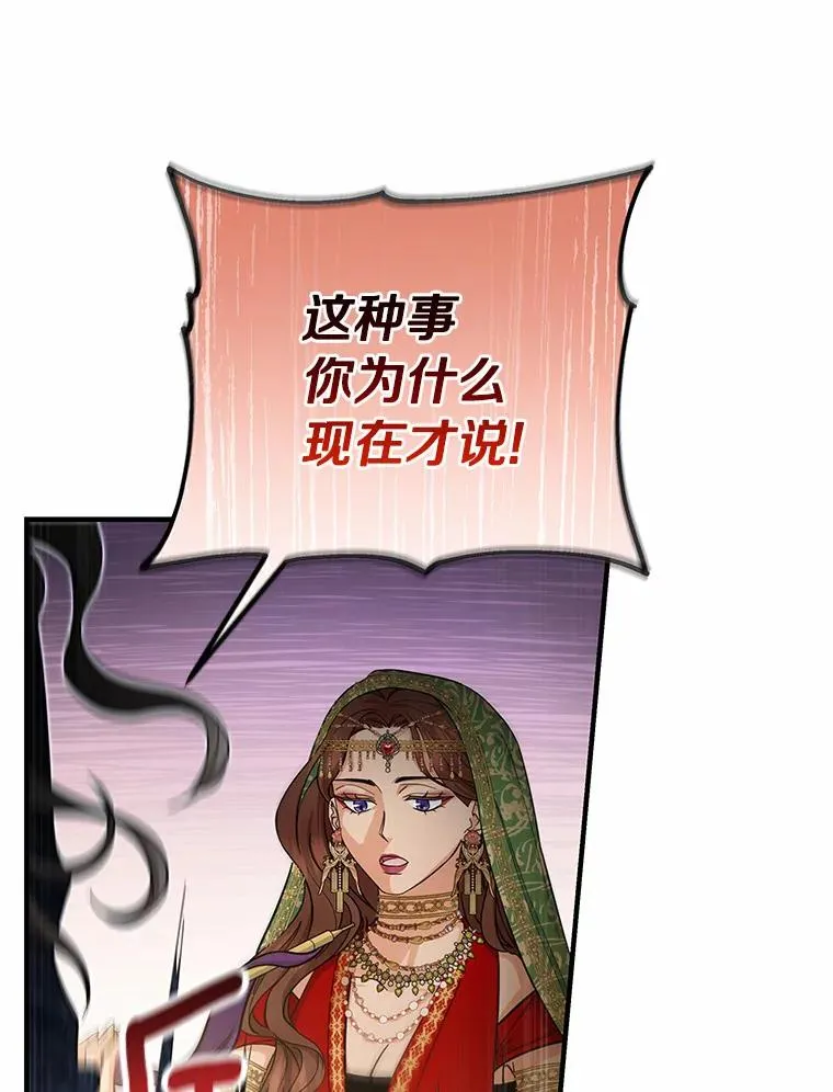 14.艾丽雅的打算 第78页
