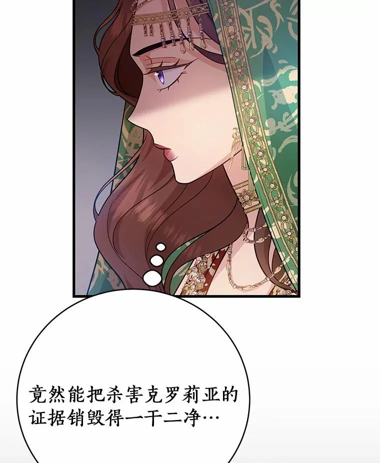 14.艾丽雅的打算 第111页