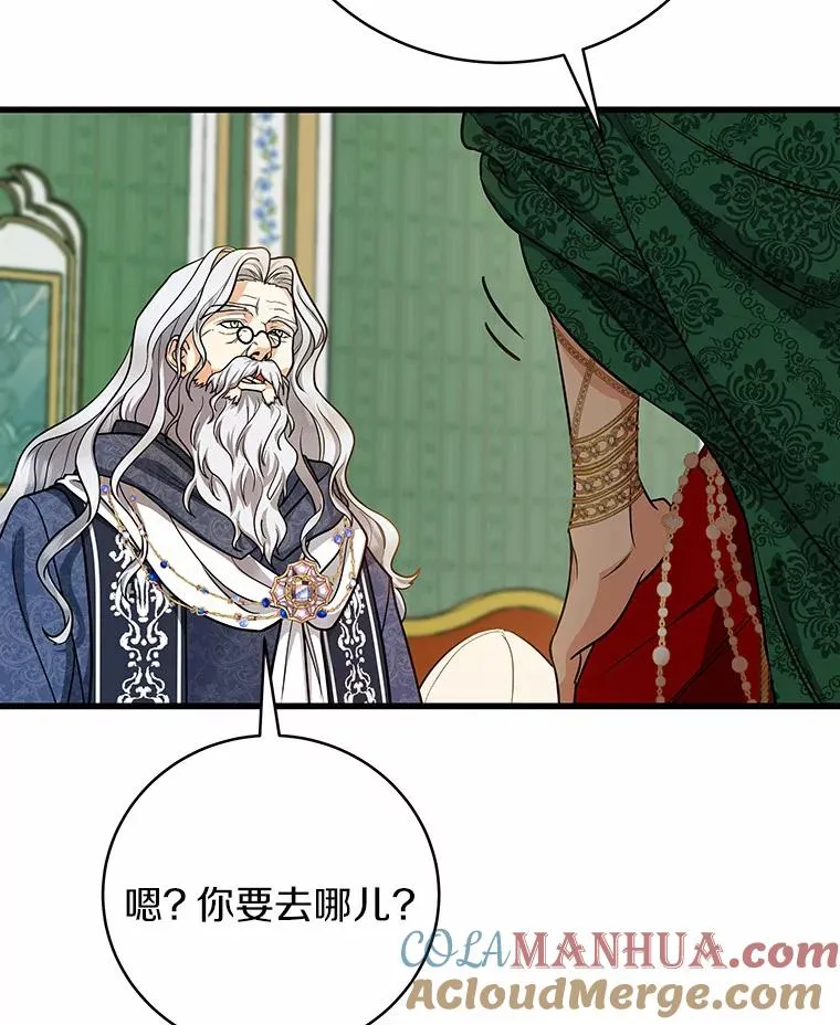 14.艾丽雅的打算 第121页