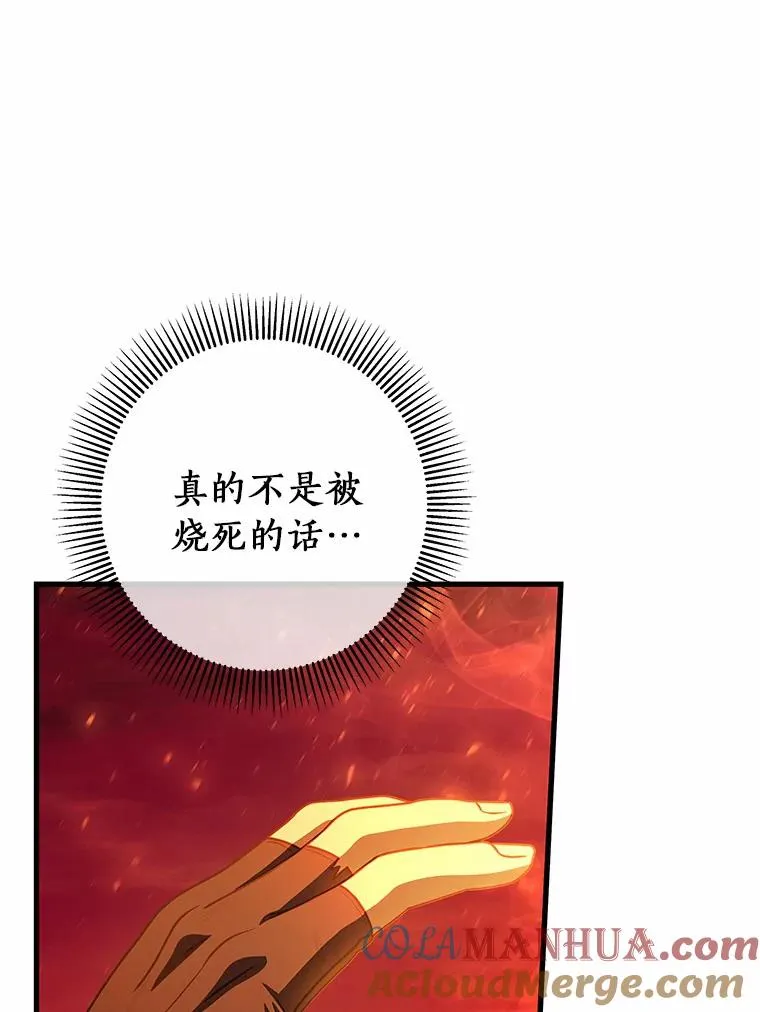 19.驯服 第77页