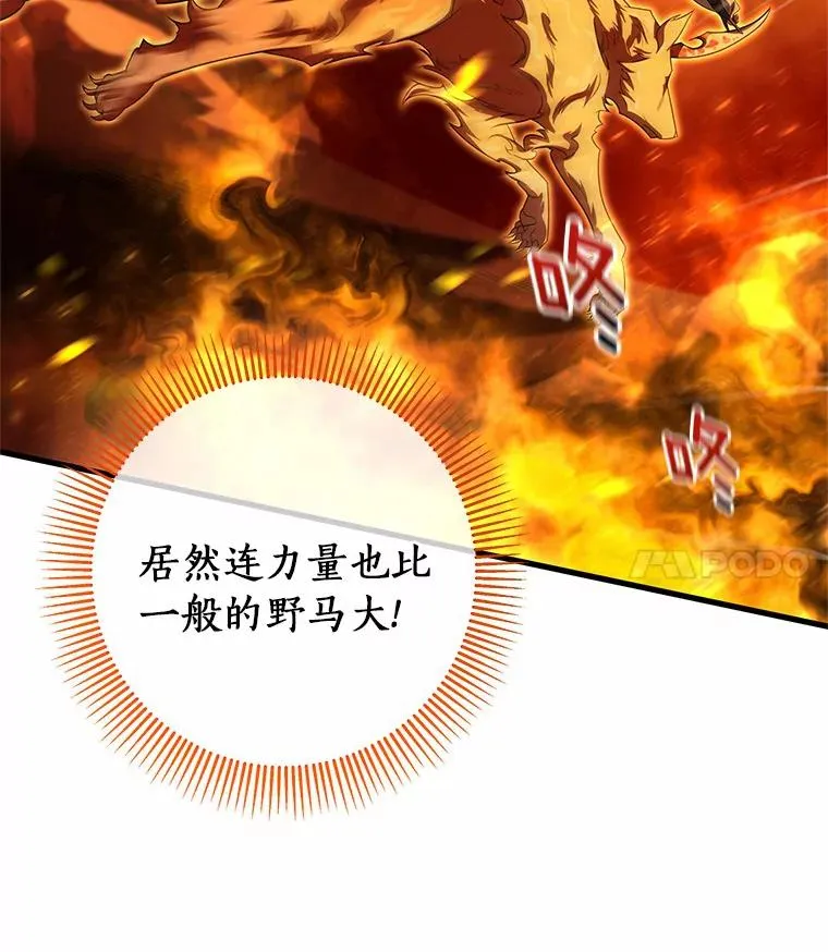 19.驯服 第148页