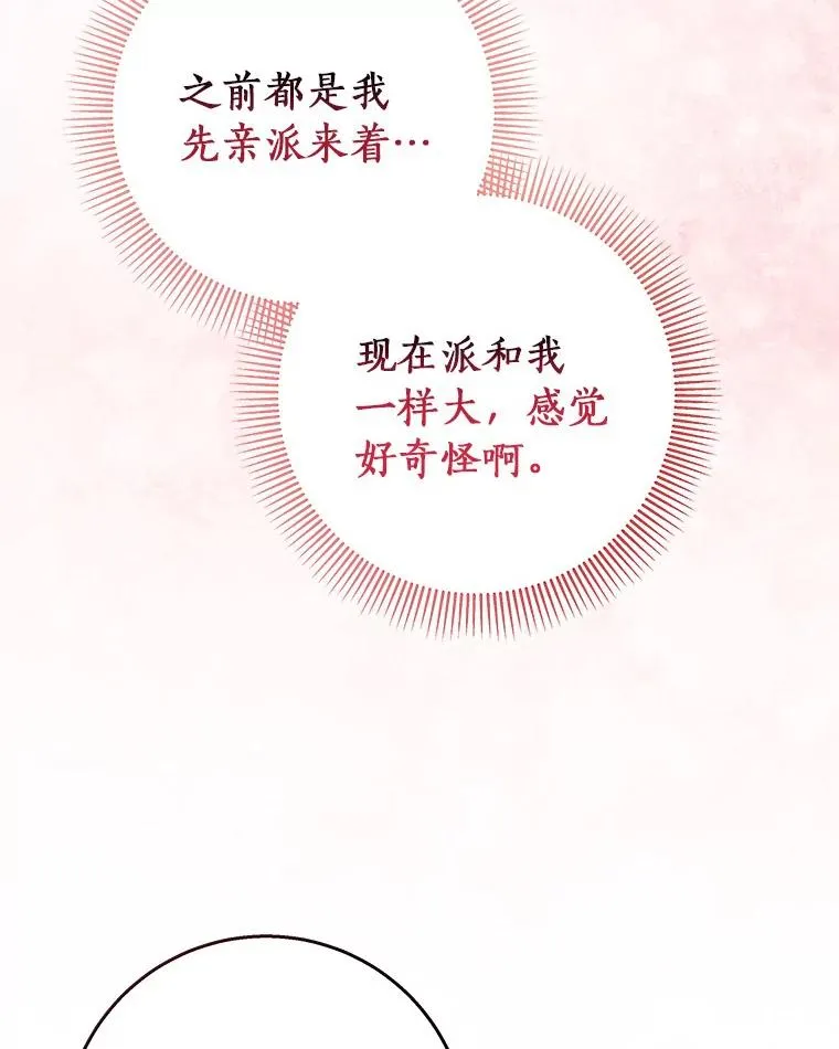 29.派长大了 第62页