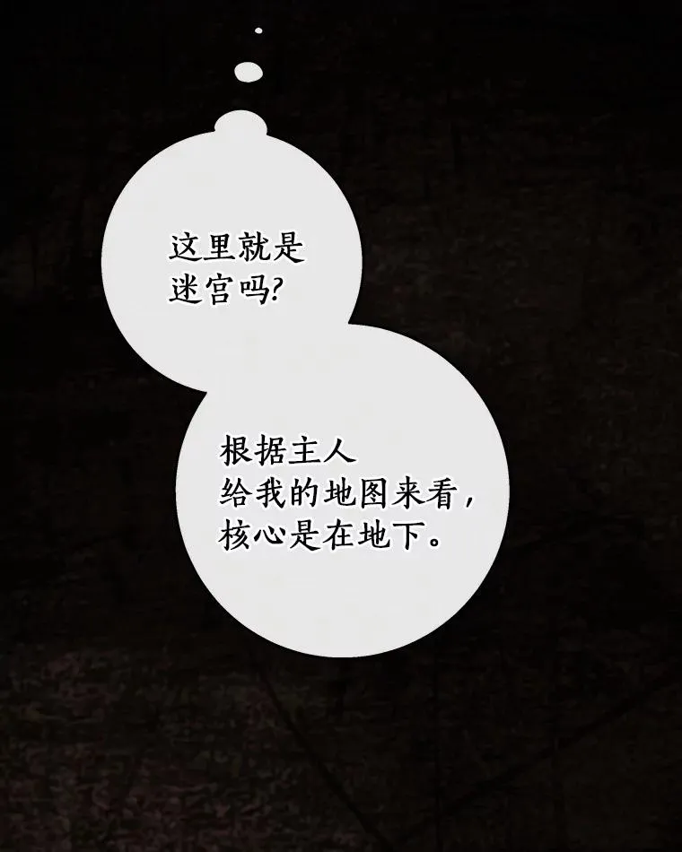33.迷宫核心 第99页