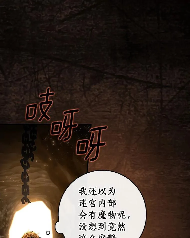33.迷宫核心 第100页