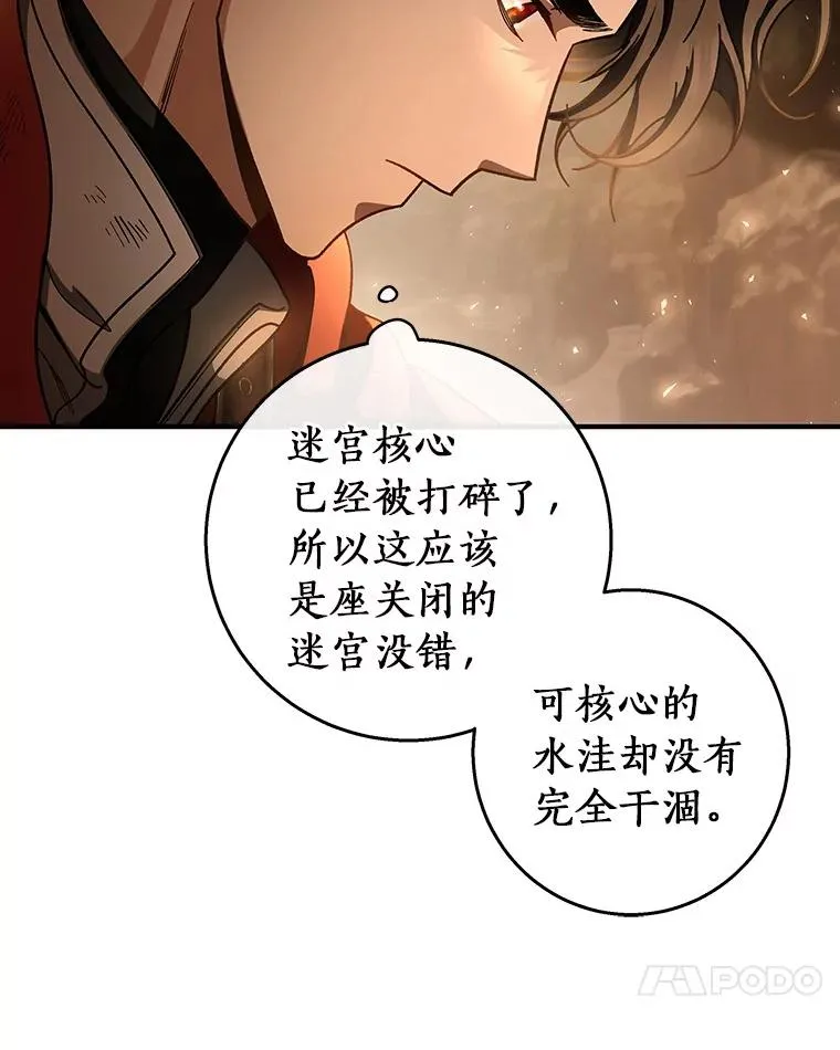 33.迷宫核心 第118页