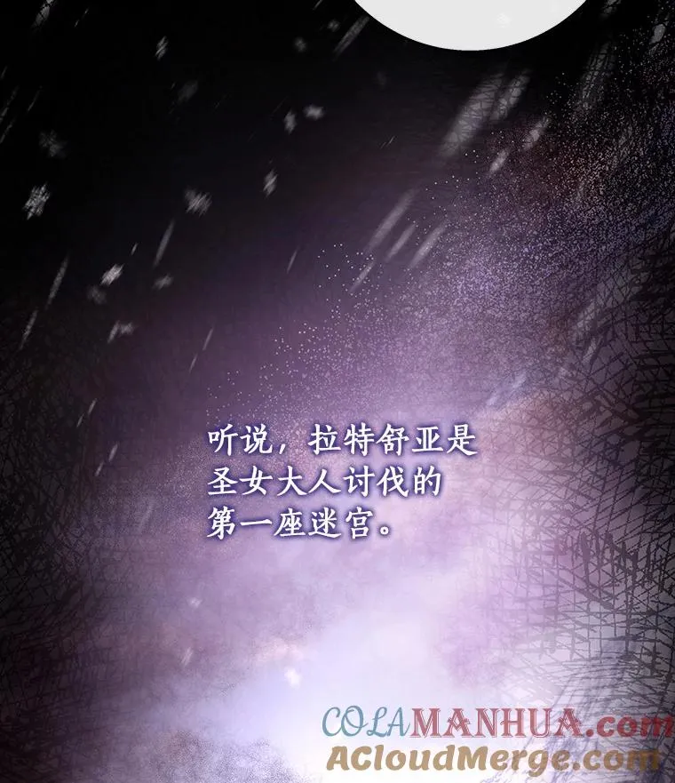 41.瓦伦泰因商团 第5页
