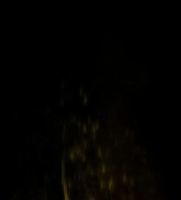 41.瓦伦泰因商团 第63页
