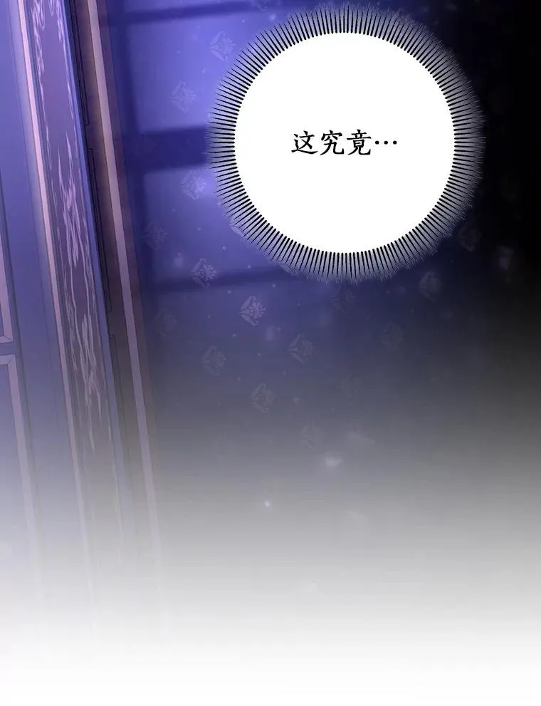 41.瓦伦泰因商团 第111页