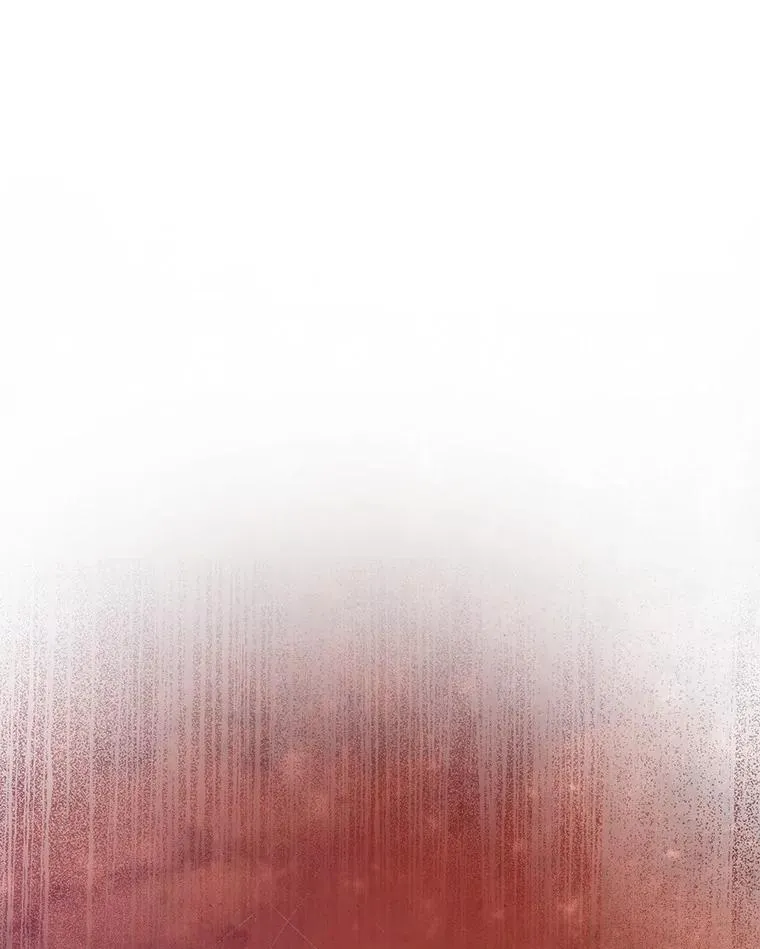 62.觐见黑暗 第71页
