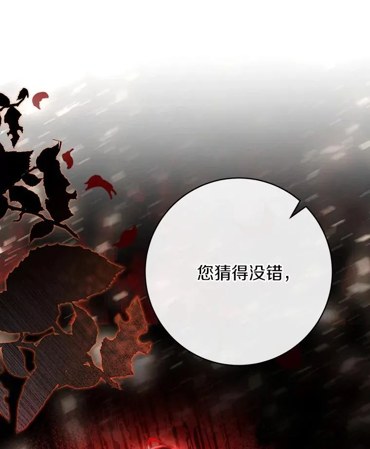 74.暗黑过往 第26页