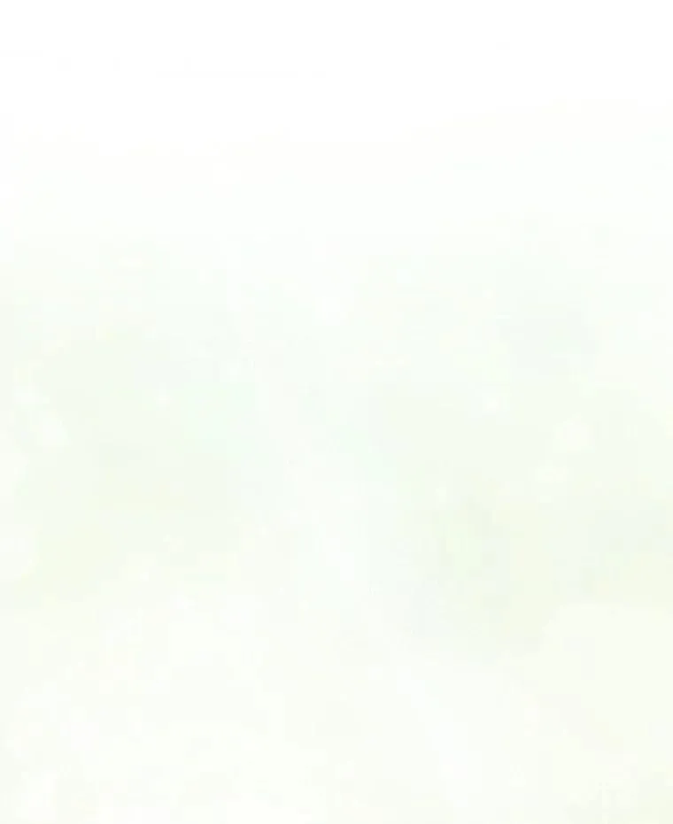 81.盖伊尔的笔记 第32页