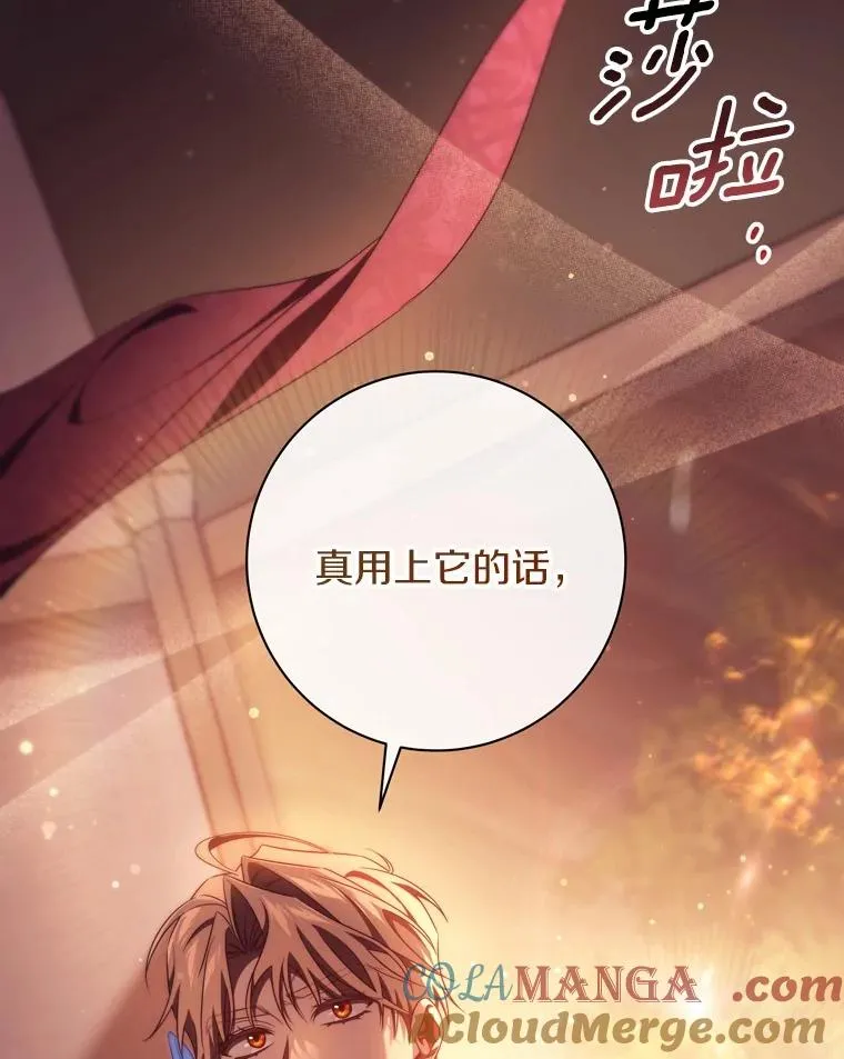 97.试验 第113页