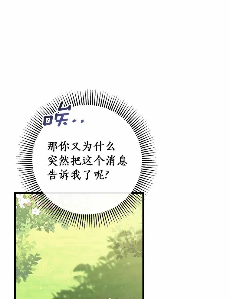 104.召唤大精灵 第112页