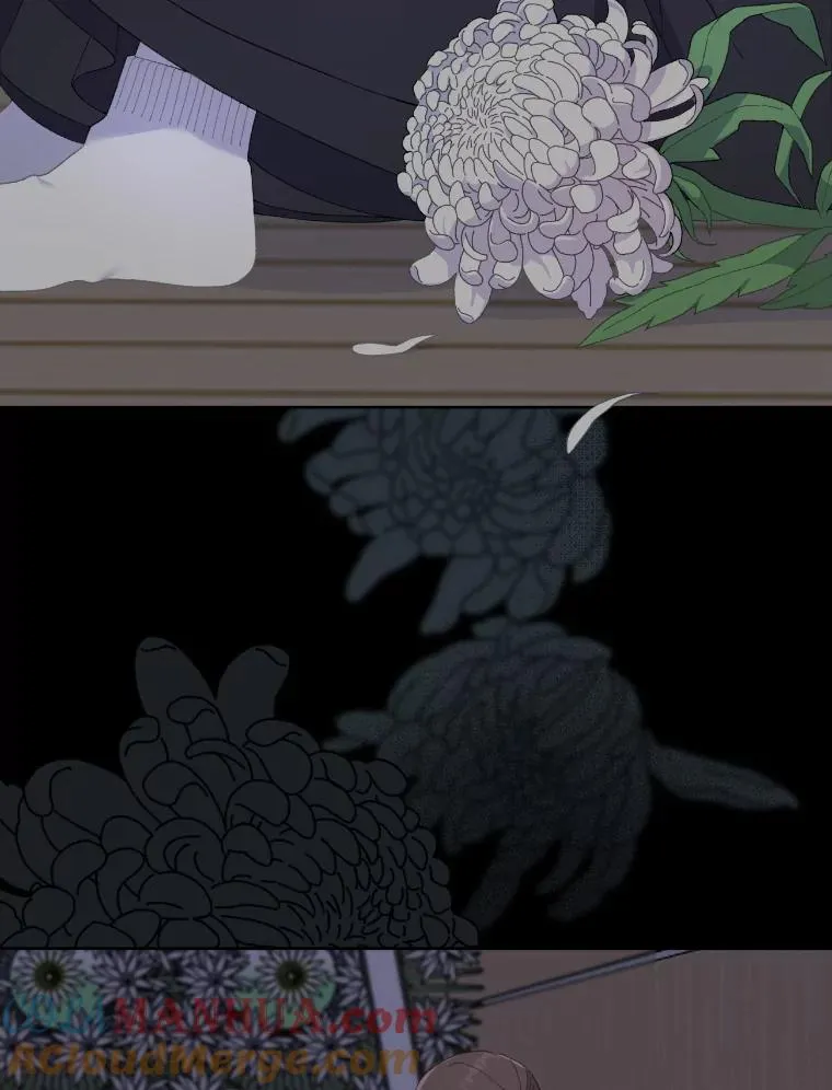 7.坎坷的回忆 第4页