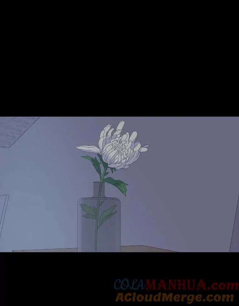7.坎坷的回忆 第13页