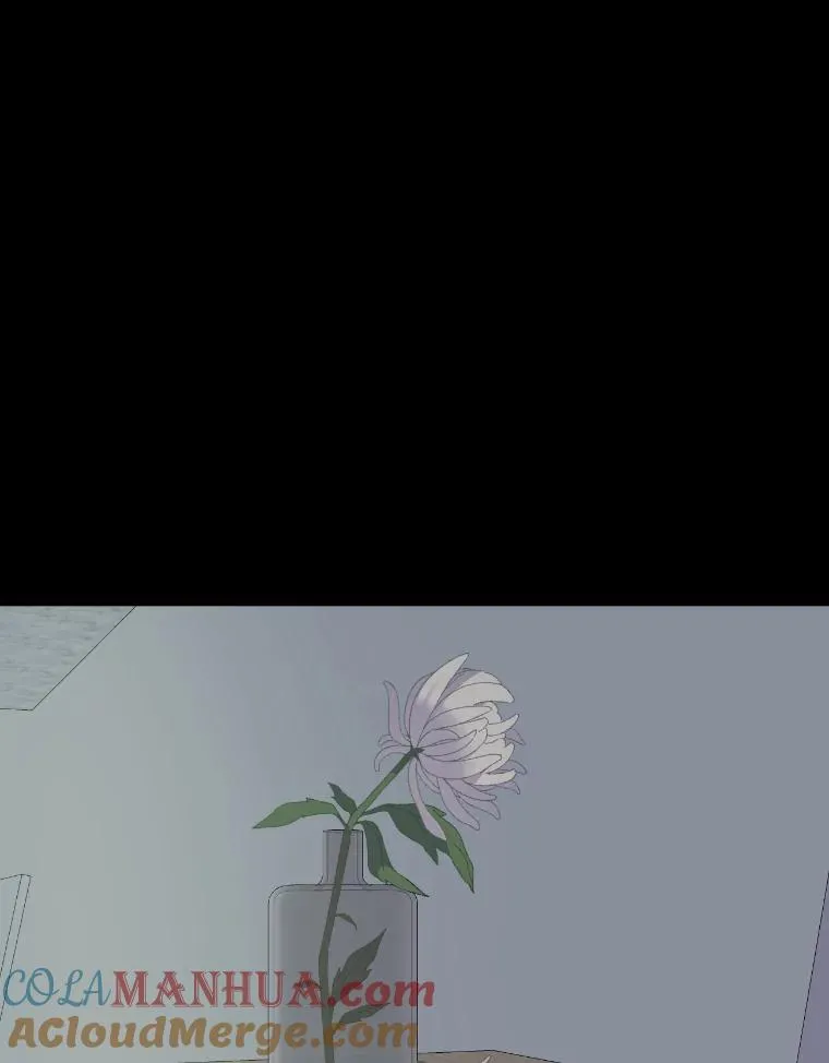 7.坎坷的回忆 第19页