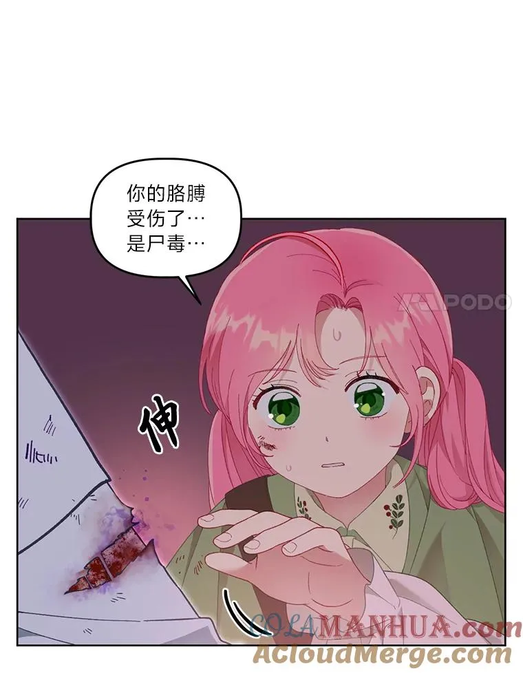 24.奥尔修伯爵的恩惠 第73页