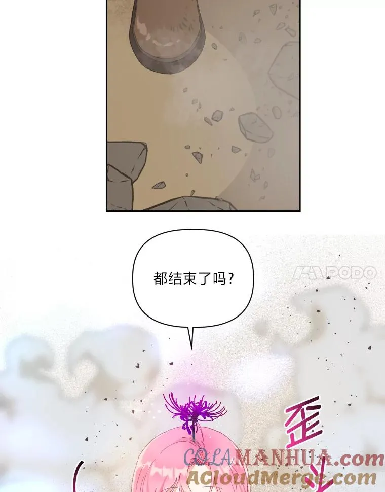 27.紫黑色彼岸花 第28页