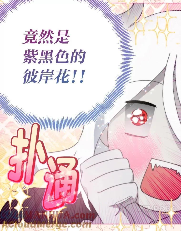 27.紫黑色彼岸花 第31页