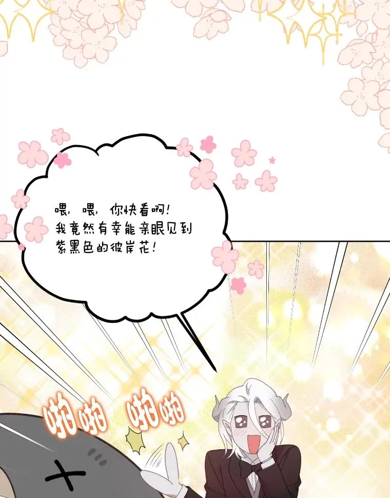 27.紫黑色彼岸花 第32页