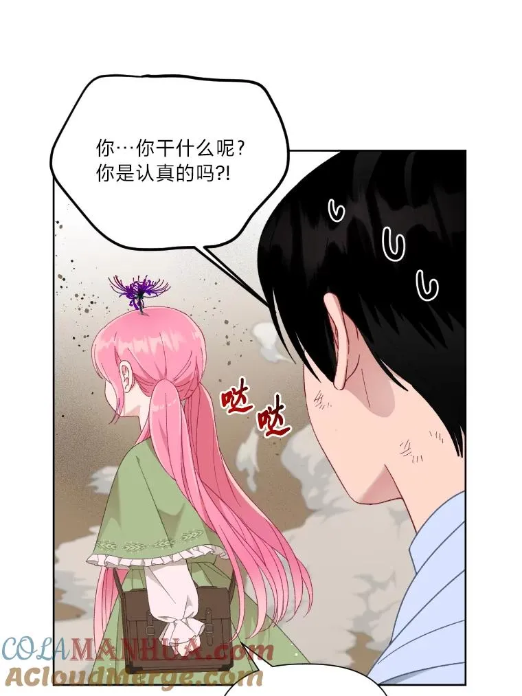 27.紫黑色彼岸花 第40页