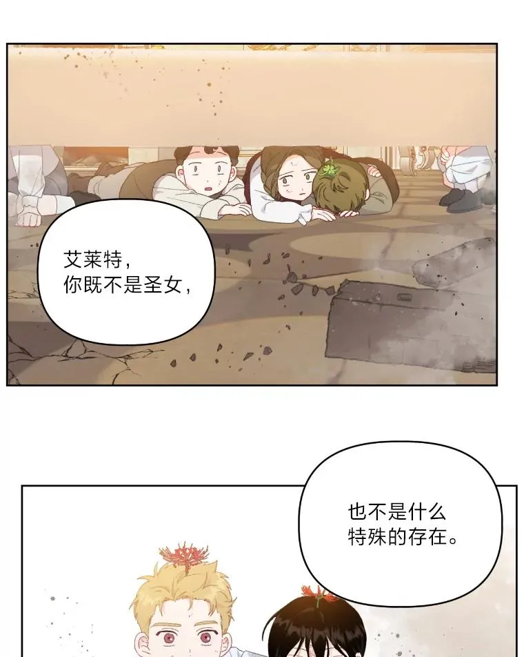27.紫黑色彼岸花 第57页