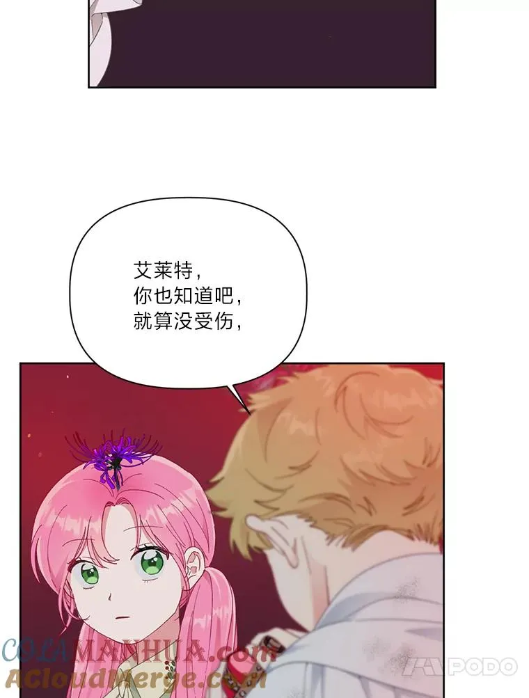 29.第三个计划 第13页