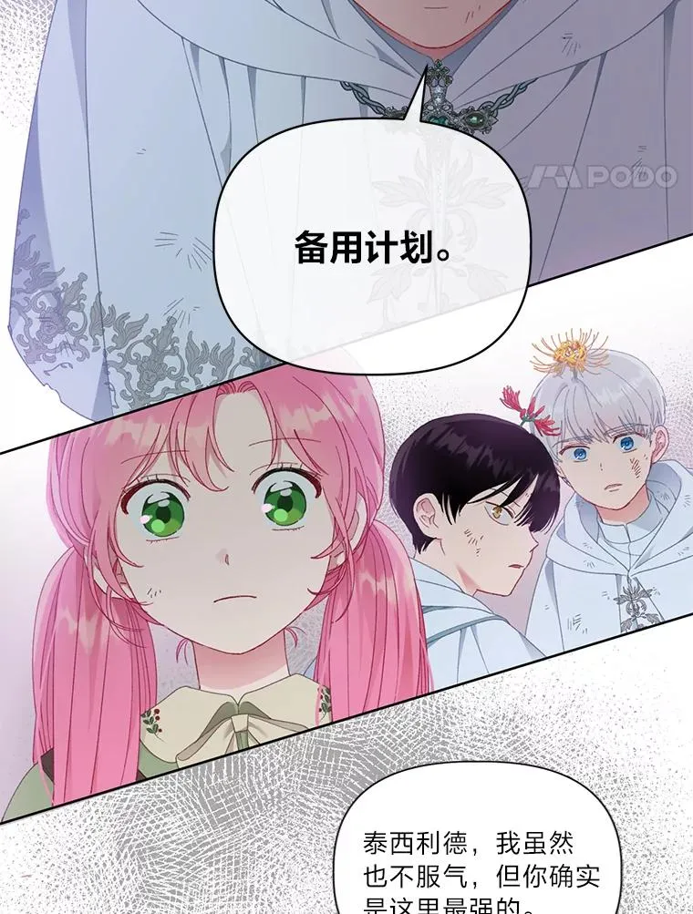 29.第三个计划 第17页
