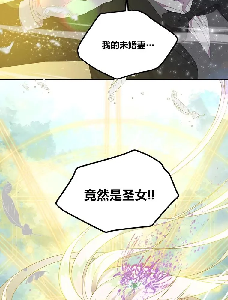 29.第三个计划 第54页