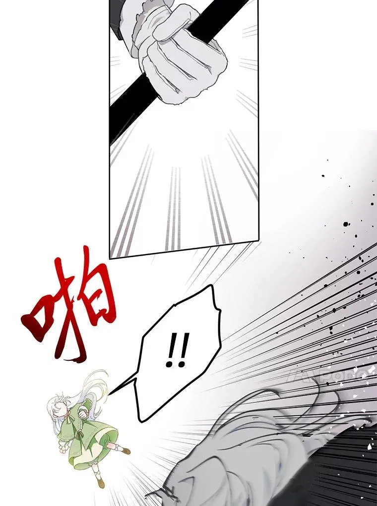 29.第三个计划 第66页