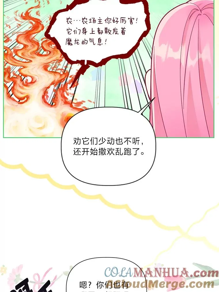 49.哥哥带回的消息 第16页
