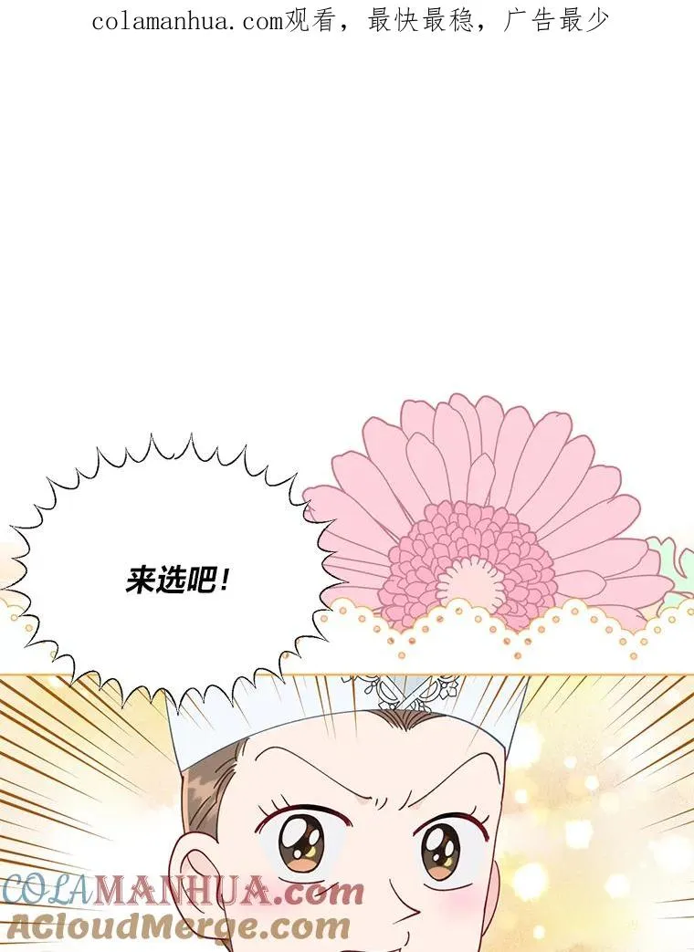 53.纯金苹果团 第1页