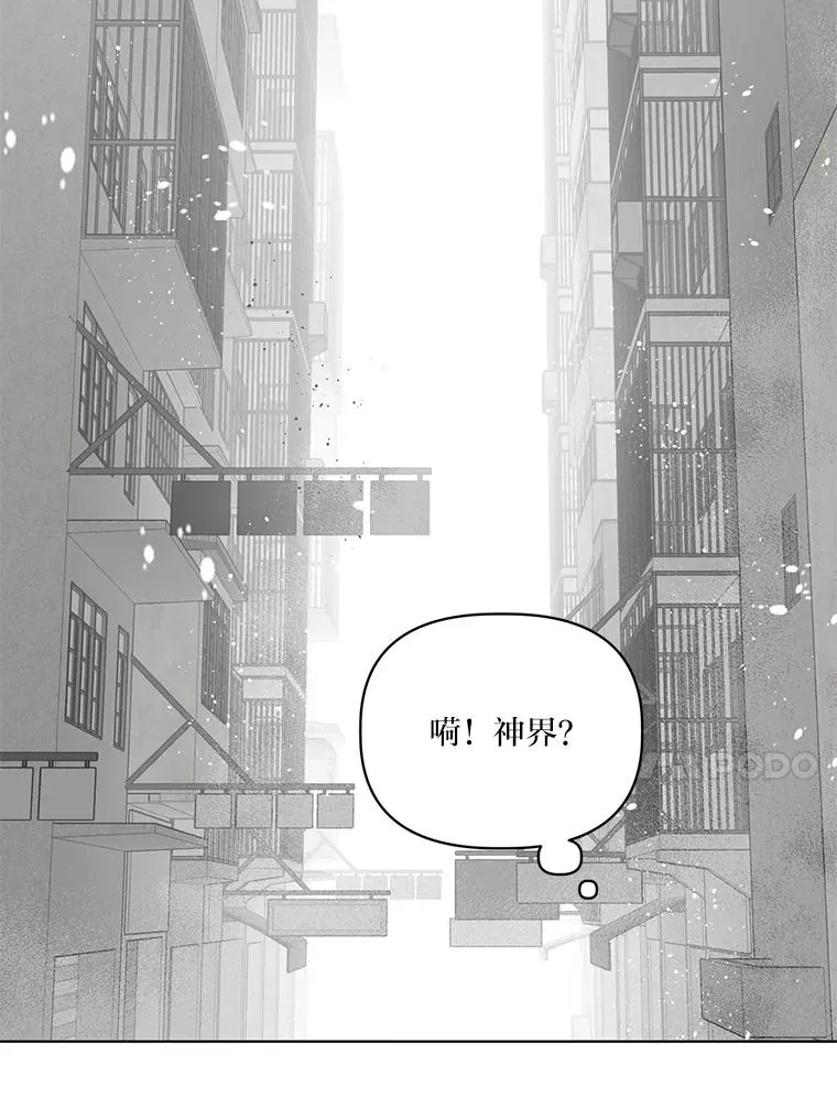 68.神界商店 第60页