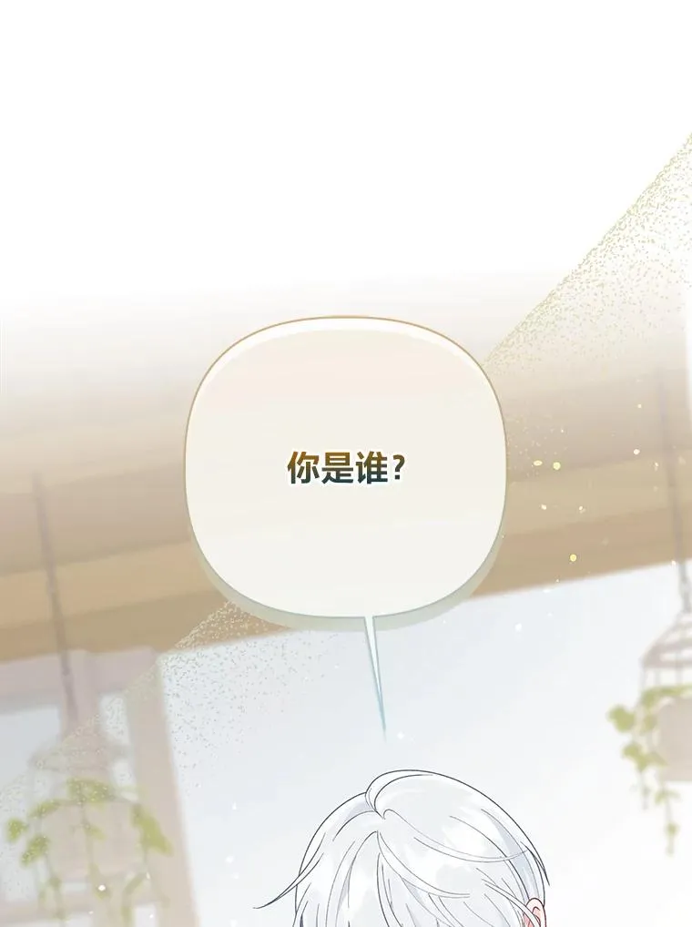 73.你是谁 第102页
