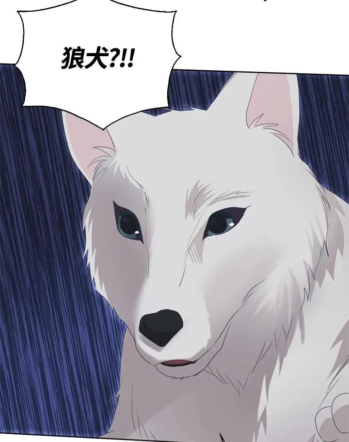第36话 第9页