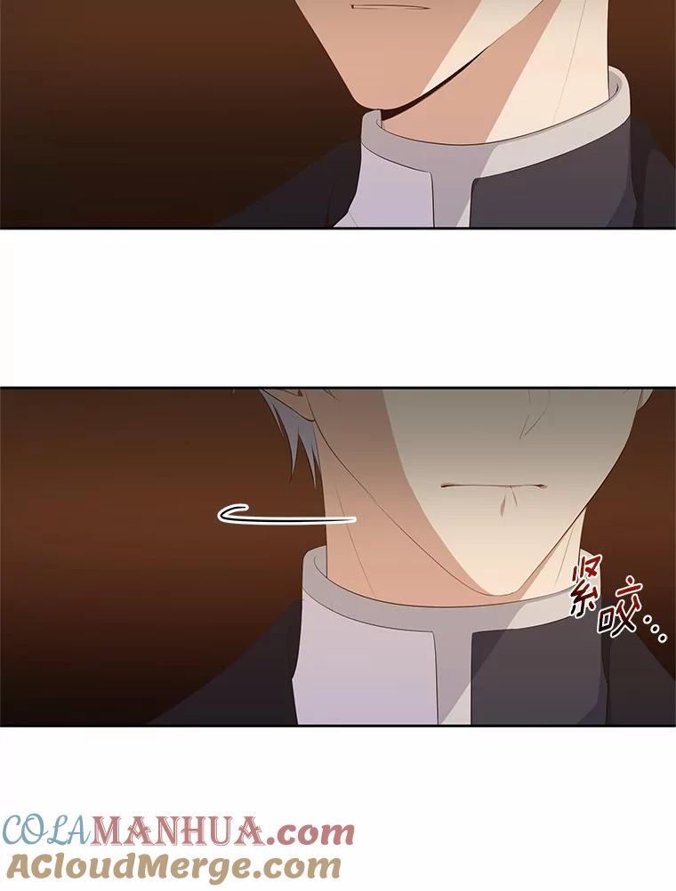 4.罗莎莉雅 第19页