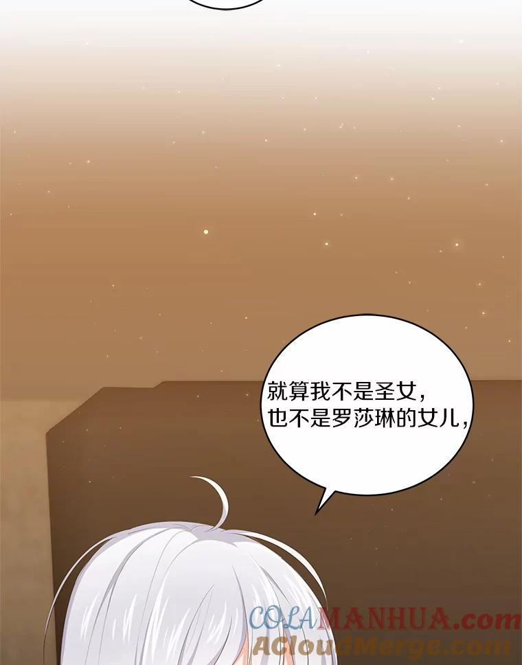 4.罗莎莉雅 第25页