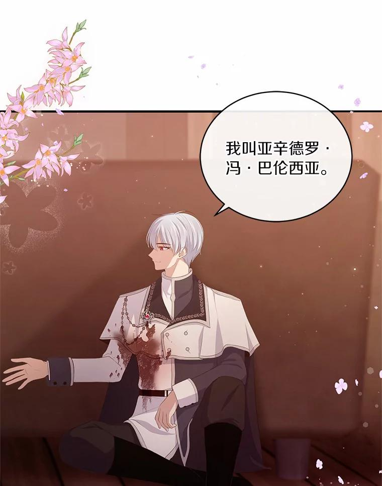 4.罗莎莉雅 第30页
