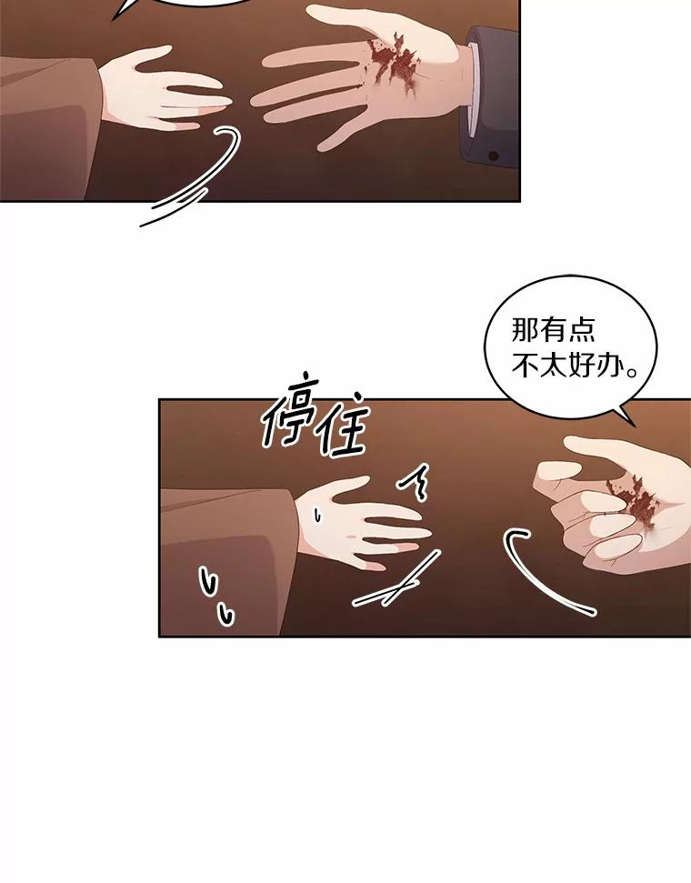4.罗莎莉雅 第33页