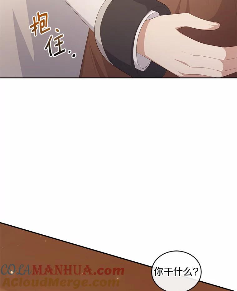 4.罗莎莉雅 第43页