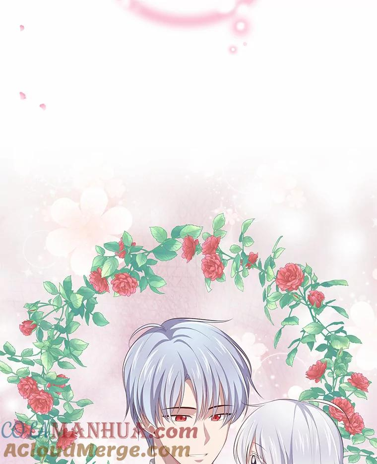 4.罗莎莉雅 第46页