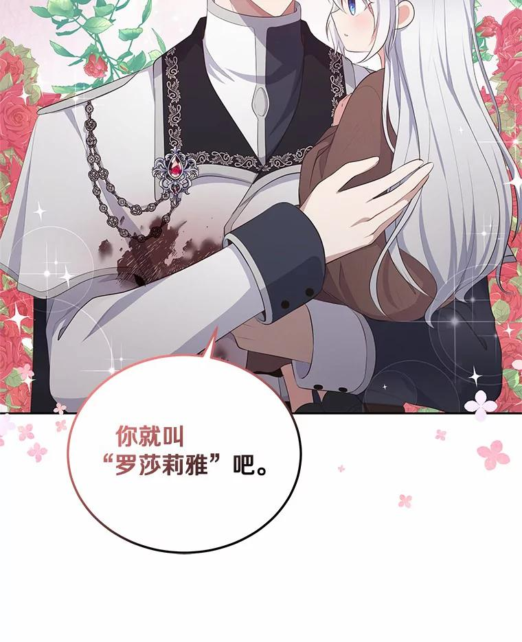4.罗莎莉雅 第47页