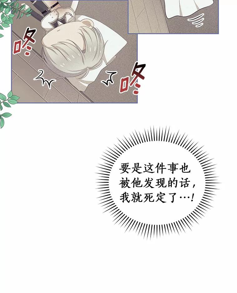4.罗莎莉雅 第62页