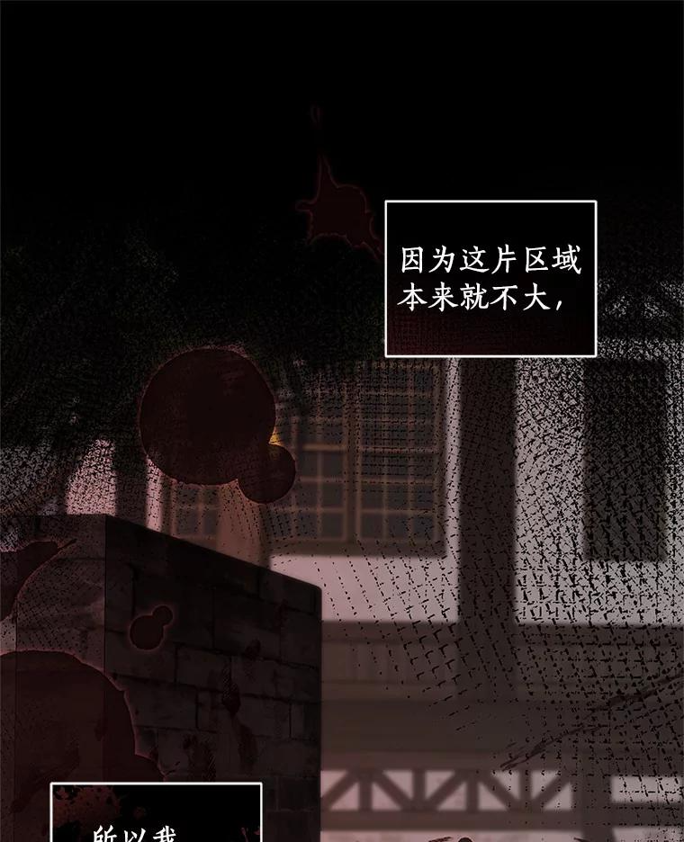 25.寻找科蒂莉雅 第27页