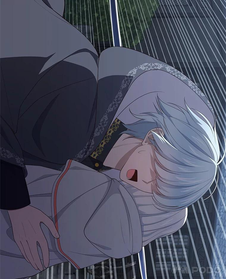 25.寻找科蒂莉雅 第36页