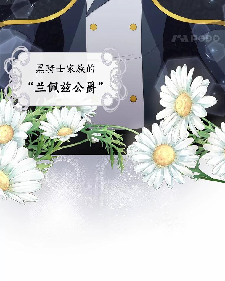 26.兰佩兹城堡 第39页