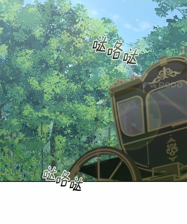 47.来到狩猎场 第12页