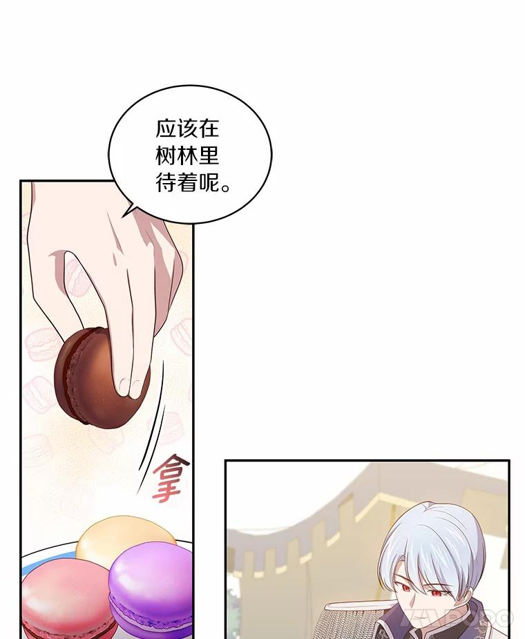 47.来到狩猎场 第30页
